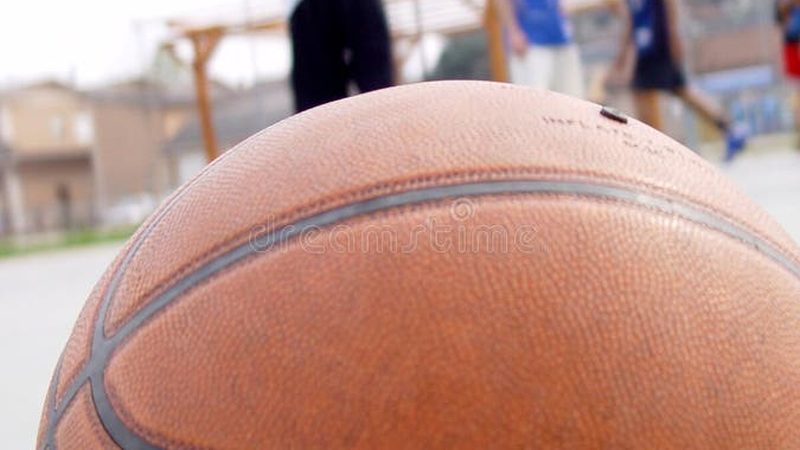乡村庭院小路设计尺寸：如何打造美观实用的庭院空间**