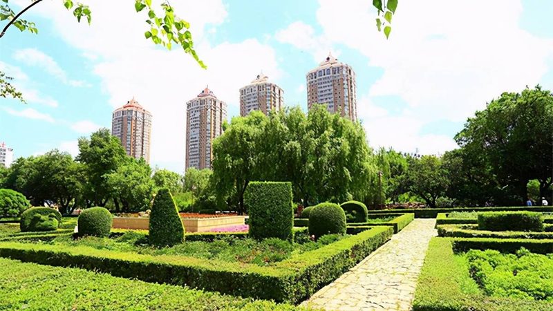 道路绿化常用苗木如何选择？——对比分析及要点解析