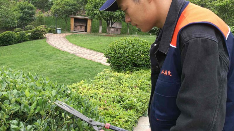 园林景观设计规范教程：从标准到实践