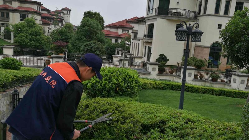 成都庭院灯光布局设计的艺术与科学**