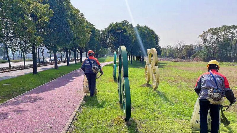 办公空间立体绿化：打造绿色工作新风尚**