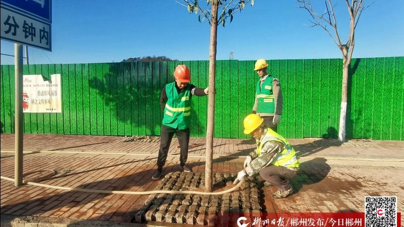 立体绿化墙施工价格每平米：揭秘成本构成与影响因素