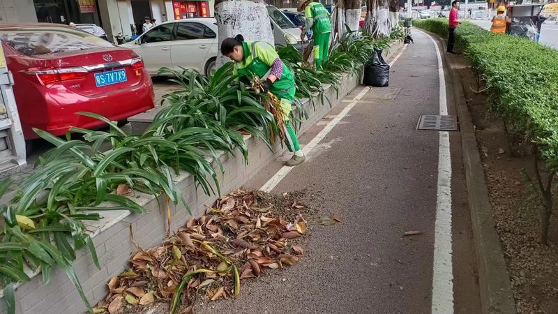 市政绿化养护施肥技术：科学管理，助力城市绿意盎然