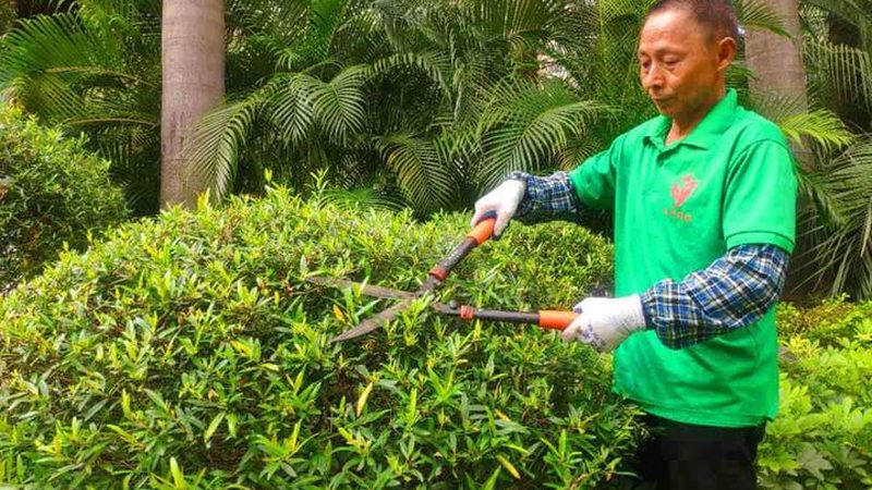 边坡绿化铁丝网镀锌规格解析：关键参数与选购要点