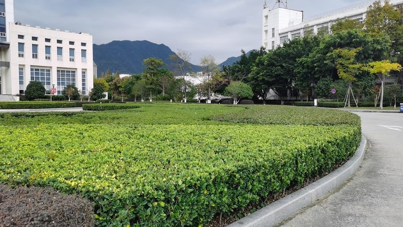 上海假山喷泉制作安装：价格背后的考量因素**