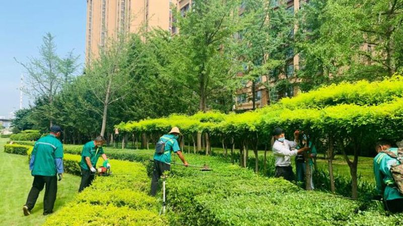 TBS喷播施工：五大注意事项，助您打造完美绿化景观